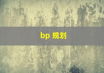 bp 规划